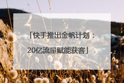 快手推出金帆计划：20亿流量赋能获客