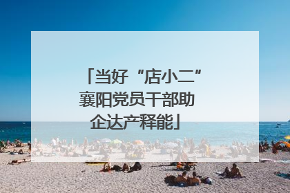 当好“店小二” 襄阳党员干部助企达产释能