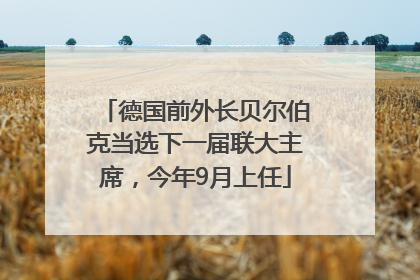 德国前外长贝尔伯克当选下一届联大主席，今年9月上任