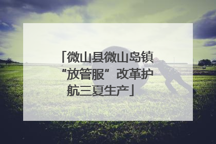 微山县微山岛镇“放管服”改革护航三夏生产