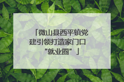 微山县西平镇党建引领打造家门口“就业圈”