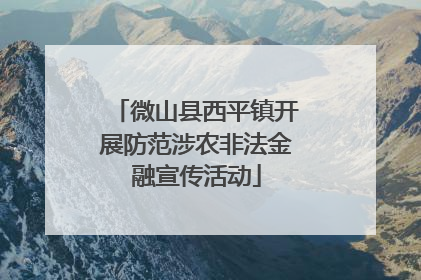 微山县西平镇开展防范涉农非法金融宣传活动
