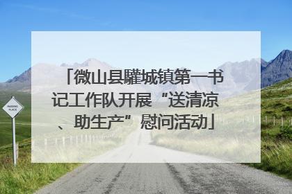 微山县驩城镇第一书记工作队开展“送清凉、助生产”慰问活动