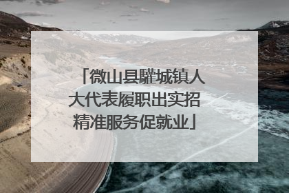 微山县驩城镇人大代表履职出实招精准服务促就业