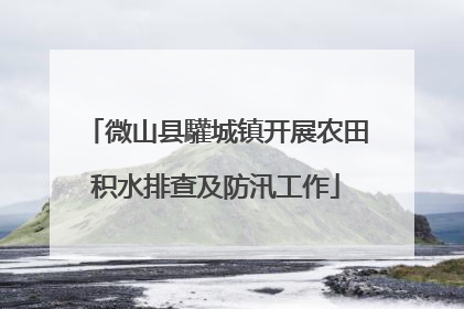 微山县驩城镇开展农田积水排查及防汛工作