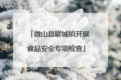 微山县驩城镇开展食品安全专项检查