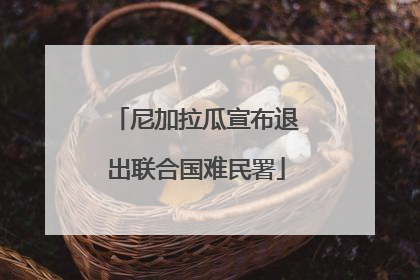 尼加拉瓜宣布退出联合国难民署