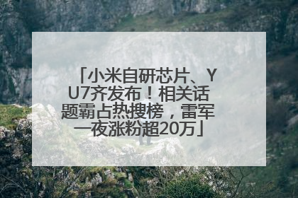 小米自研芯片、YU7齐发布！相关话题霸占热搜榜，雷军一夜涨粉超20万