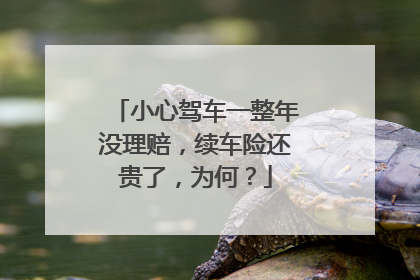 小心驾车一整年没理赔，续车险还贵了，为何？
