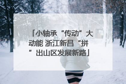 小轴承“传动”大动能 浙江新昌“拼”出山区发展新路