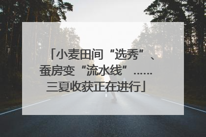 小麦田间“选秀”、蚕房变“流水线”……三夏收获正在进行