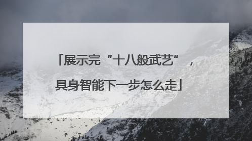 展示完“十八般武艺”，具身智能下一步怎么走