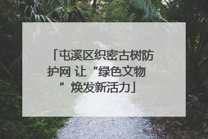 屯溪区织密古树防护网 让“绿色文物”焕发新活力