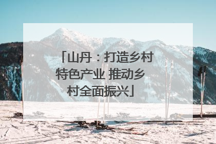 山丹：打造乡村特色产业 推动乡村全面振兴