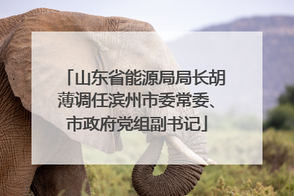 山东省能源局局长胡薄调任滨州市委常委、市政府党组副书记