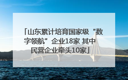 山东累计培育国家级“数字领航”企业18家 其中民营企业牵头10家