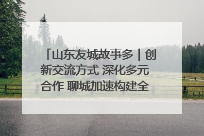 山东友城故事多｜创新交流方式 深化多元合作 聊城加速构建全球友城新格局