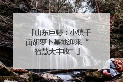 山东巨野：小镇千亩胡萝卜基地迎来“智慧大丰收”