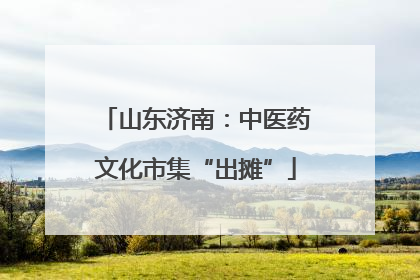 山东济南：中医药文化市集“出摊”