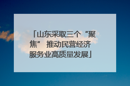 山东采取三个“聚焦” 推动民营经济服务业高质量发展