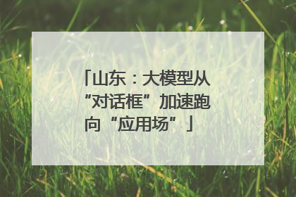 山东：大模型从“对话框”加速跑向“应用场”