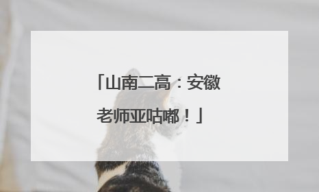 山南二高：安徽老师亚咕嘟！
