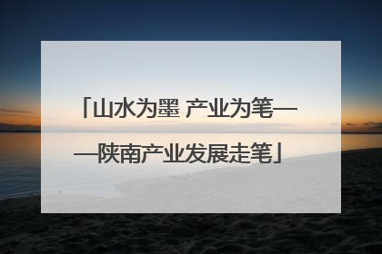 山水为墨 产业为笔——陕南产业发展走笔