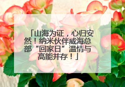 山海为证，心归安然！纳米伙伴威海总部“回家日”温情与高能并存！