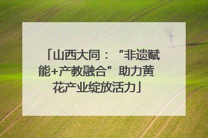 山西大同：“非遗赋能+产教融合”助力黄花产业绽放活力