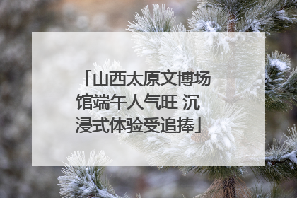 山西太原文博场馆端午人气旺 沉浸式体验受追捧