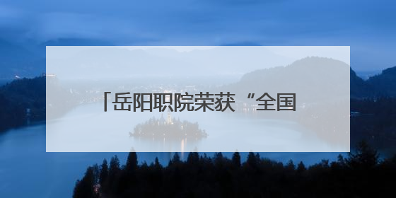 岳阳职院荣获“全国无偿献血促进奖”