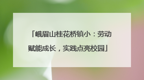峨眉山桂花桥镇小：劳动赋能成长，实践点亮校园