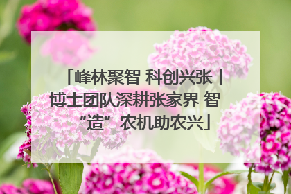峰林聚智 科创兴张丨博士团队深耕张家界 智“造”农机助农兴