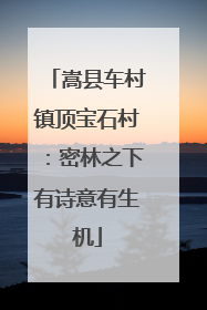 嵩县车村镇顶宝石村：密林之下有诗意有生机
