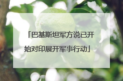 巴基斯坦军方说已开始对印展开军事行动