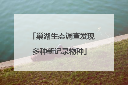 巢湖生态调查发现多种新记录物种