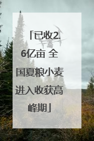 已收2.6亿亩 全国夏粮小麦进入收获高峰期