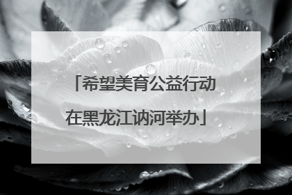 希望美育公益行动在黑龙江讷河举办