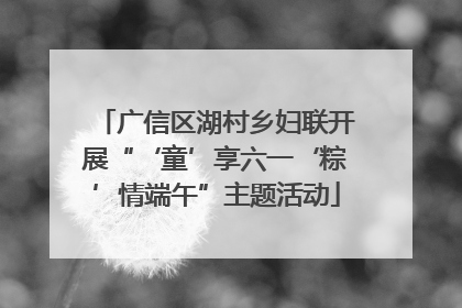 广信区湖村乡妇联开展“‘童’享六一‘粽’情端午”主题活动