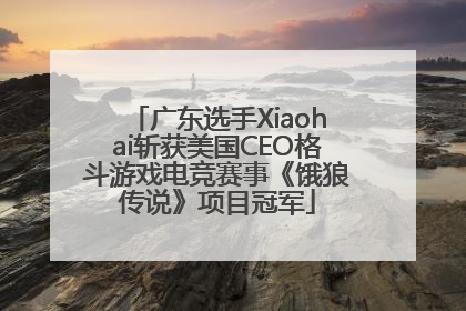 广东选手Xiaohai斩获美国CEO格斗游戏电竞赛事《饿狼传说》项目冠军