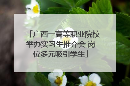 广西一高等职业院校举办实习生推介会 岗位多元吸引学生