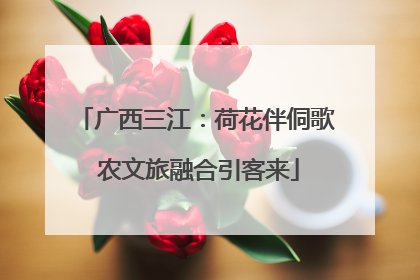 广西三江：荷花伴侗歌 农文旅融合引客来