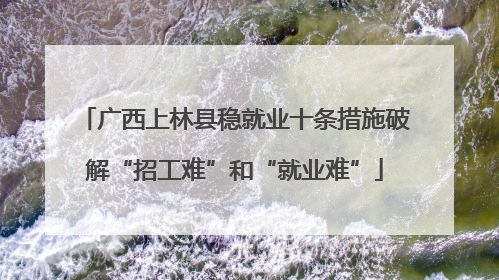 广西上林县稳就业十条措施破解“招工难”和“就业难”