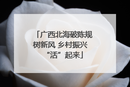 广西北海破陈规树新风 乡村振兴“活”起来