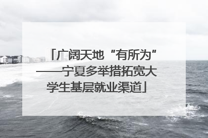 广阔天地“有所为”——宁夏多举措拓宽大学生基层就业渠道