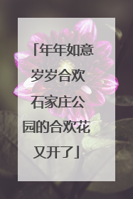 年年如意 岁岁合欢 石家庄公园的合欢花又开了
