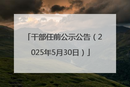 干部任前公示公告（2025年5月30日）
