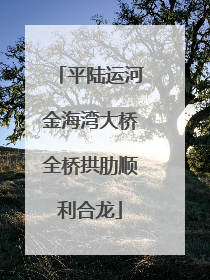 平陆运河金海湾大桥全桥拱肋顺利合龙