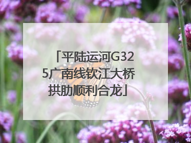 平陆运河G325广南线钦江大桥拱肋顺利合龙