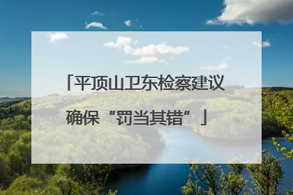 平顶山卫东检察建议确保“罚当其错”